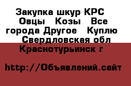 Закупка шкур КРС , Овцы , Козы - Все города Другое » Куплю   . Свердловская обл.,Краснотурьинск г.